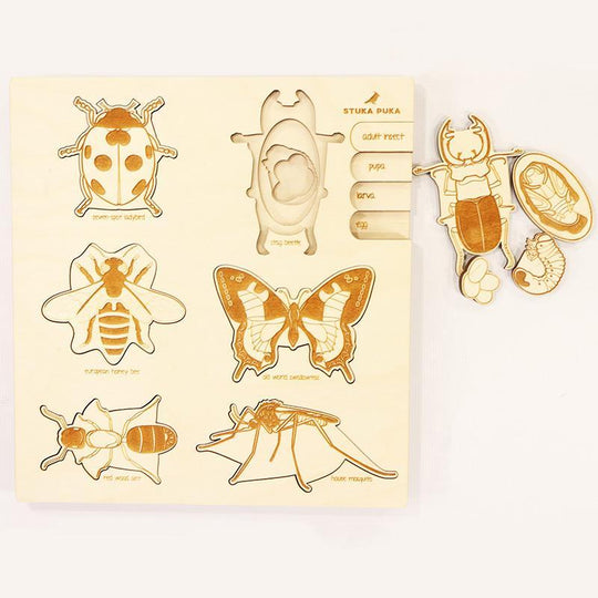 A Bugs Life Cycle Puzzle