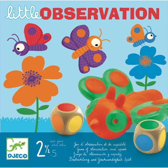 Little Observation Game