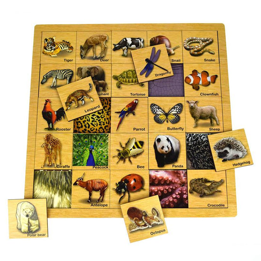 Animal Skin Matching Puzzle