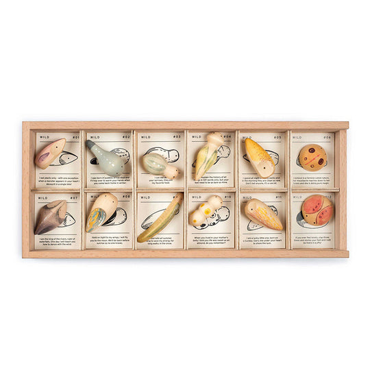 Wild Wooden Play Set