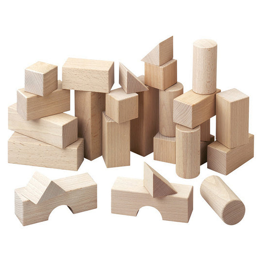 Natural Building Blocks Starter Set
