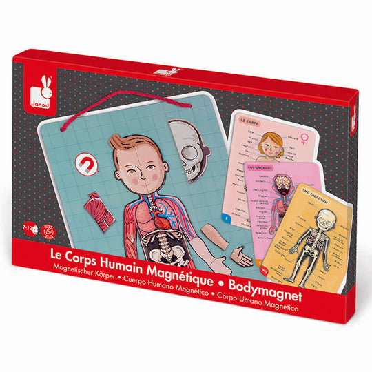 Human Bodymagnet Activity Set
