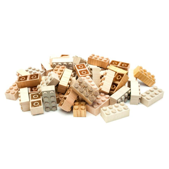 Wooden Building Bricks 60pc Set