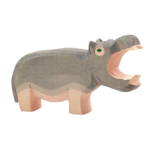 Hippopotamus Mouth Open