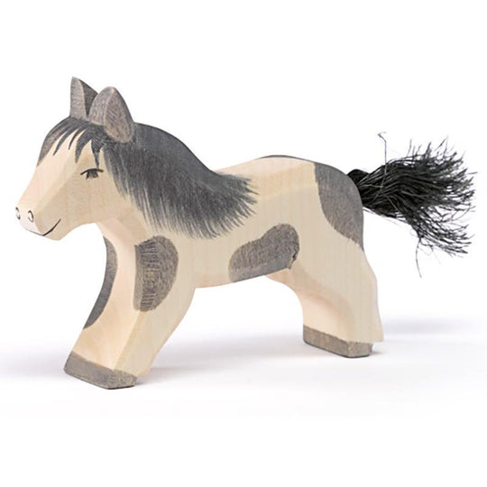 Shetland Pony Running