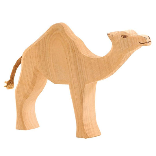 Dromedary