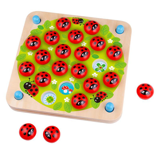 Ladybug Memory Game