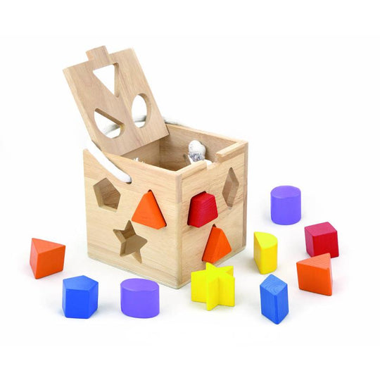 Shape Sorting Cube