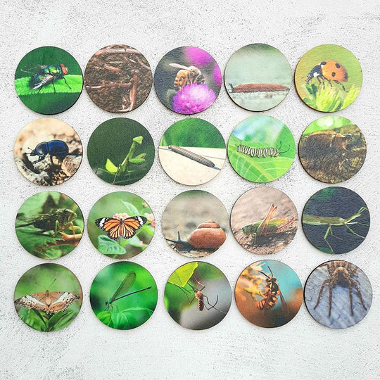 Creepy Crawlies Story Telling Discs