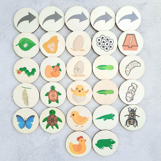 Life Cycles Mega Pack Discs