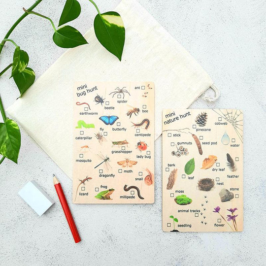 Mini Bug & Nature Hunt Double Sided Board